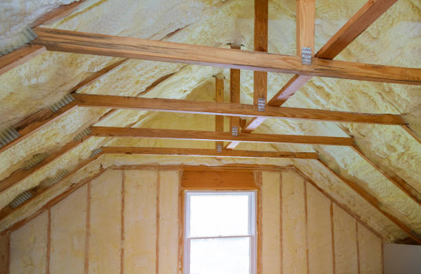 Best Home Insulation Services  in Long Creek, IL