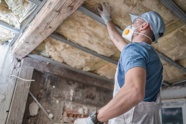 Professional Insulation Contractor in Long Creek, IL