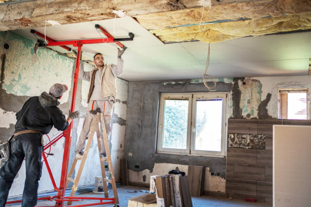 Best Wall Insulation Contractor  in Long Creek, IL