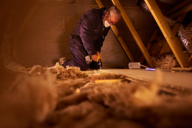 Best Insulation Contractors for Homes  in Long Creek, IL